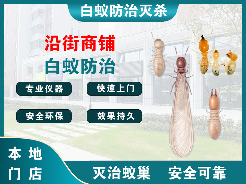 吴兴区沿街商铺白蚁防治