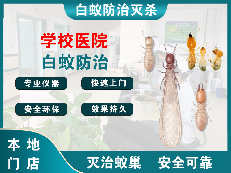 吴兴区学校医院白蚁防治