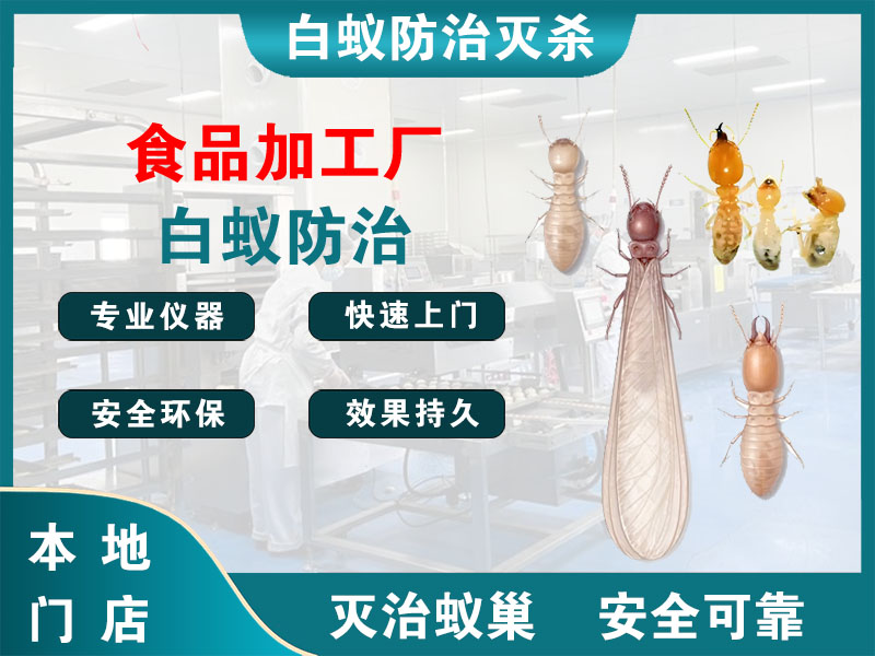 吴兴区食品加工厂白蚁防治