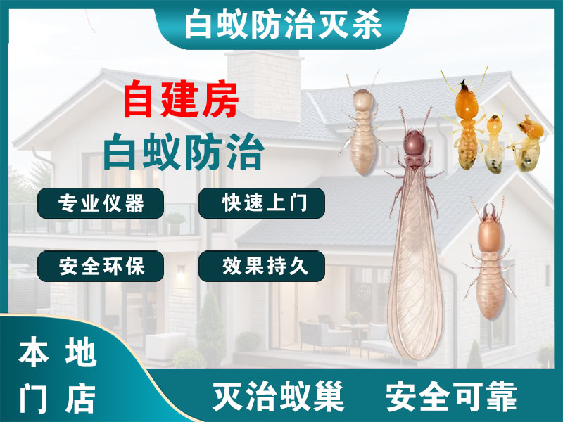 吴兴区自建房白蚁防治