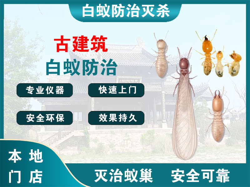 吴兴区古建筑白蚁防治