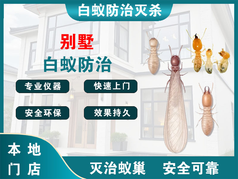 吴兴区别墅白蚁防治